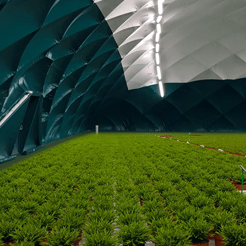 Agricultural Air Dome