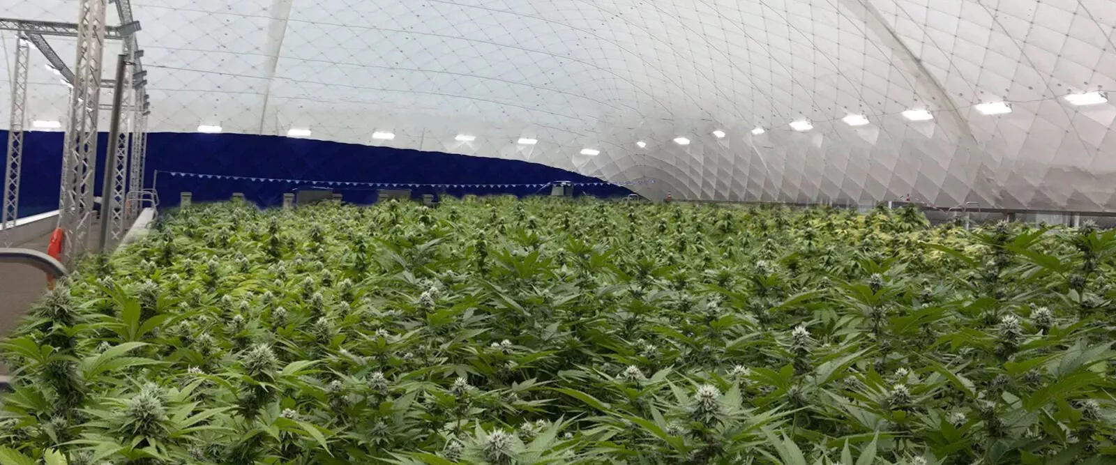 Traglufthallen als Gewächshalle